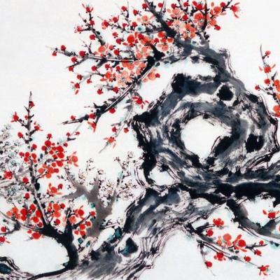 Plum series 梅花系列